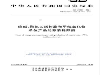 GB 21257-2024烧碱、聚氯乙烯树脂和甲烷氯化物单位产品能源消耗限额 